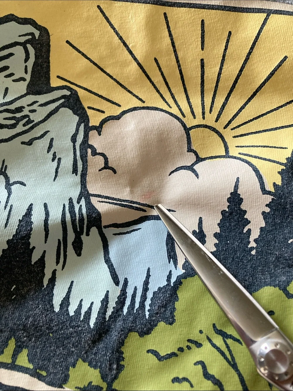Boys T-shirt bundle with Nature & Sun Prints